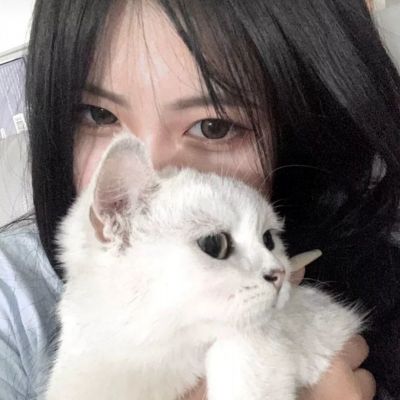 宝宝的高乐场官方版下载